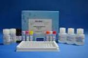 Nitroimidazole ELISA Test Kit Nitroimidazole ELISA Test Kit