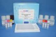 Cimaterol ELISA Test Kit Cimaterol ELISA Test Kit