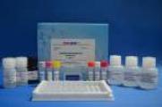 Terbutaline ELISA Test Kit Terbutaline ELISA Test Kit